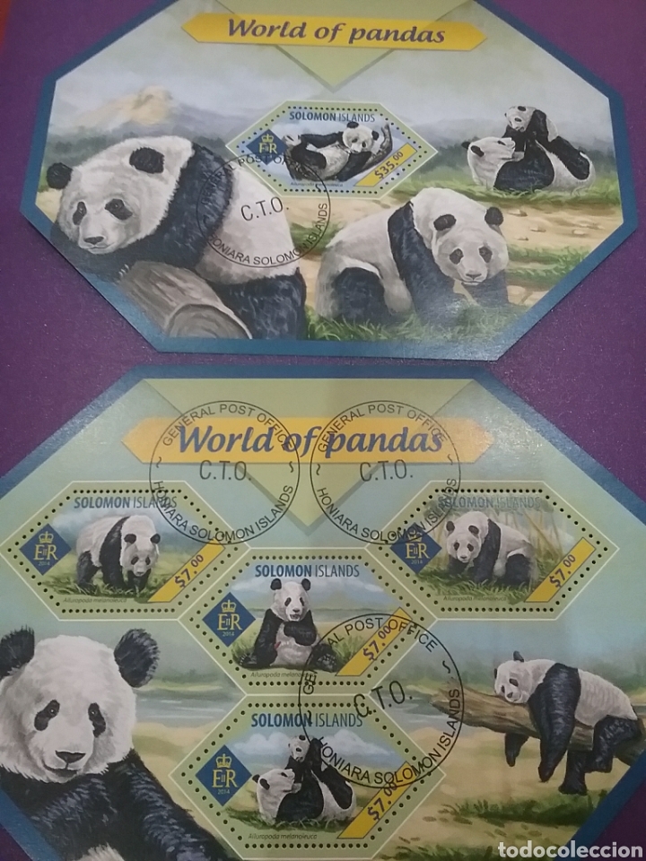 Selos: HB (2) I. Salomon mtdos /2014/oso/gigante/panda/animales/fauna/salvaje/mamifero/bambu/naturaleza