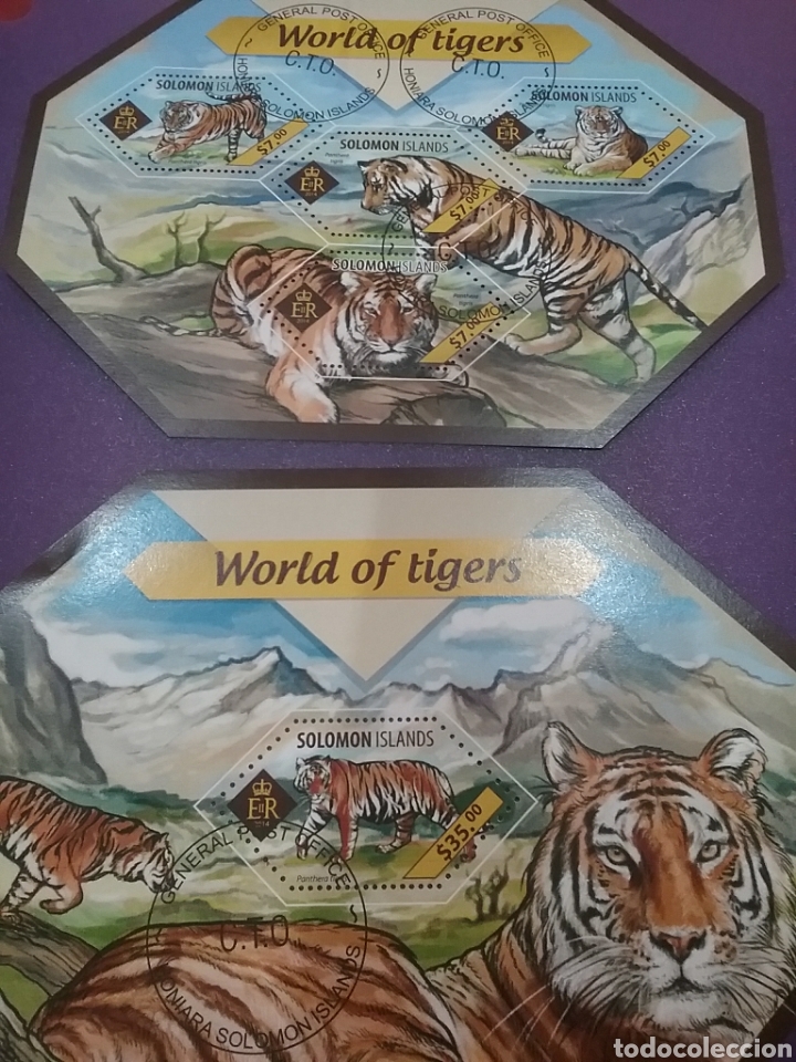 Selos: HB (2) I. Salomon mtdos /2014/animales/fauna/salvaje/tigres/felinos/mamifero/pantera/monta&ntilde;as/natura