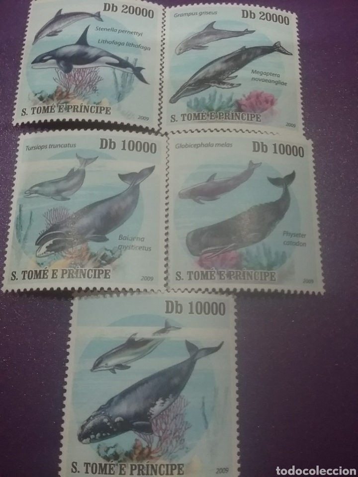 Selos: Sello Tome e Principe nuevo/2009/delfines/cetaceos/animales/vida/fauna/marina/mamifero