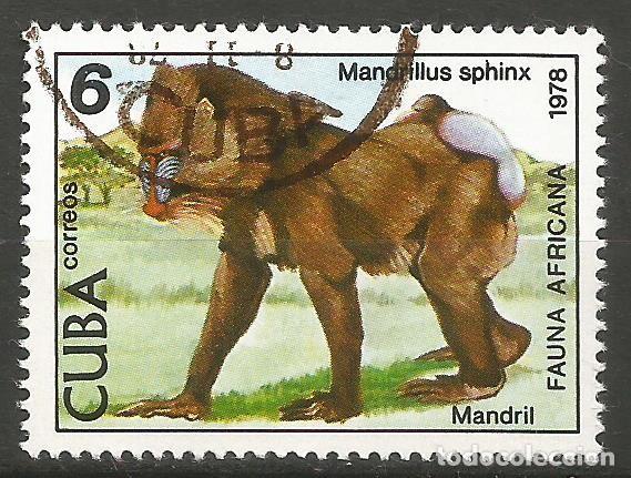 Sellos: CUBA - 1978 - MANDRIL - USADO - Foto 1