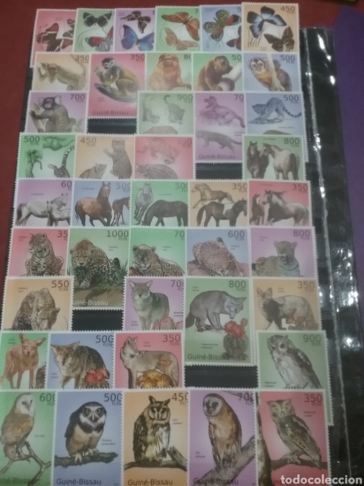 Selos: Sellos Guinea - Bissau nuevos/2010/animales/salvajes/fauna/mariposa/buho/felinos/pantera/LEER REGALO