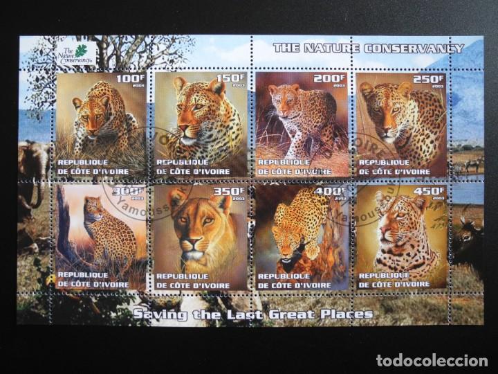 Timbres: Tigres. Conservaci&oacute;n de la naturaleza. Costa de Marfil (Ivoire) 2003 Nuevo sin charlena.