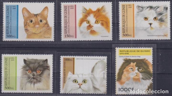 Timbres: F-EX30462 GUINEE GUINEA MNH 1996 WILDLIFE CAT FELINE GATOS DE RAZA.