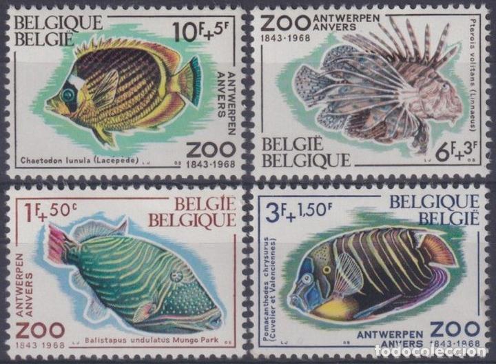 Timbres: F-EX30404 BELGIUM BELGIQUE 1968 SEA MARINE WILDLIFE FISH PECES REEF.