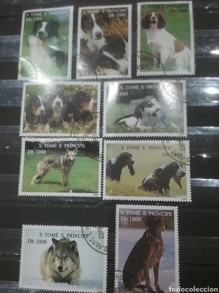 Timbres: Sello Tome y Principe mtdo/1995/perros/animales/domesticos/mamiferos/canes/razas/lobo/fauna/naturale
