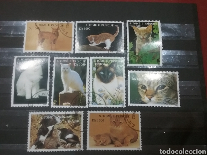 Timbres: Sello Tome y Principe mtdo/1995/gatos/animales/domesticos/fauna/felinos/mamifero/naturaleza