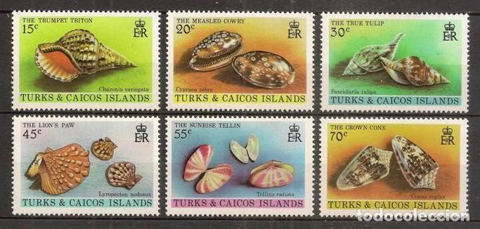 Selos: TURKS & CAICOS (Islas). 1980. Yvert 488/493 ***. Fauna marina, conchas.