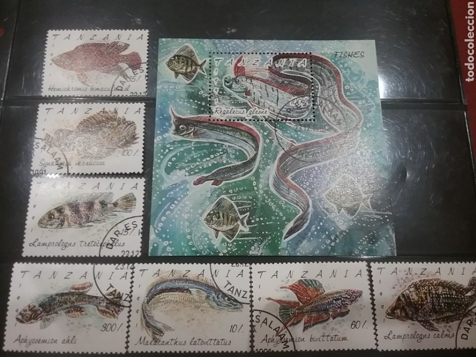 Timbres: HB + Sello Tanzania mtdos/1991/peces/pescado/vida/fauna/marina/ciclido/remo/gigante/panchax/