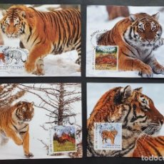 Sellos: 4 MAXI CARD WWF 2014 NIGER: TIGRE SIBERIANO - SIBERIAN TIGER (PANTHERA TIGRIS ALTAICA). Lote 327864198