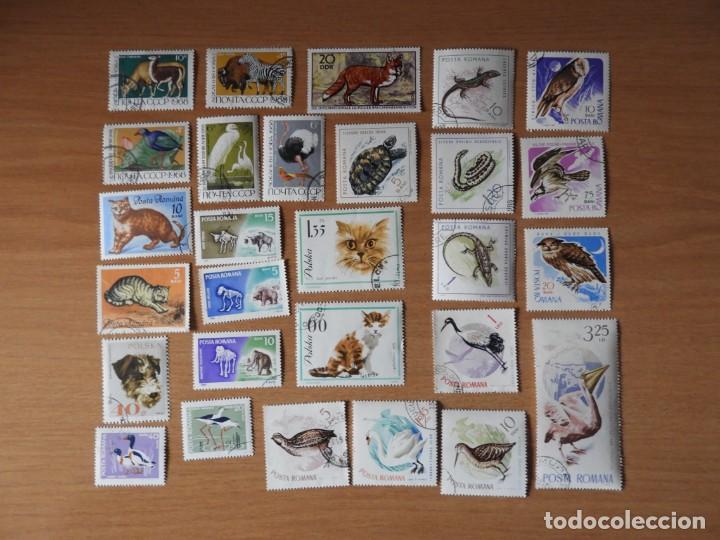 Sellos: BONITO LOTE FAUNA - Foto 1