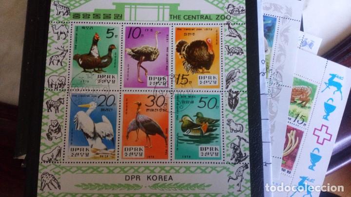 Sellos: FAUNA, AVES, HB DE COREA 1979 - Foto 1