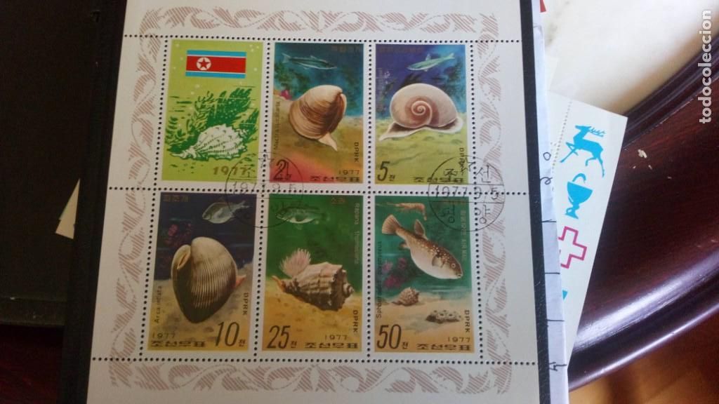 Sellos: FAUNA, MOLUSCOS MARINOS, HB DE COREA 1977 - Foto 1
