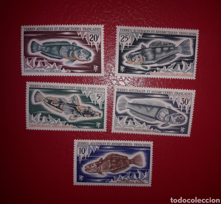 Sellos: Tierras Australes y Ant&aacute;rticas Francesas - Fauna Peces - Nuevos sin fijasellos.