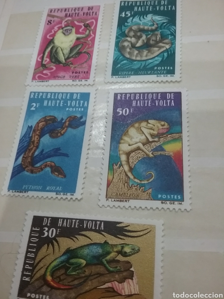 Selos: Sello Alto Volta (Haute Volta) nuevos/1966/fauna/animales/salvajes/naturaleza/piton/camaleon/vobira/