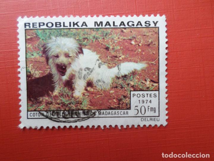Sellos: madagascar, 1974, tema fauna, perro - Foto 1