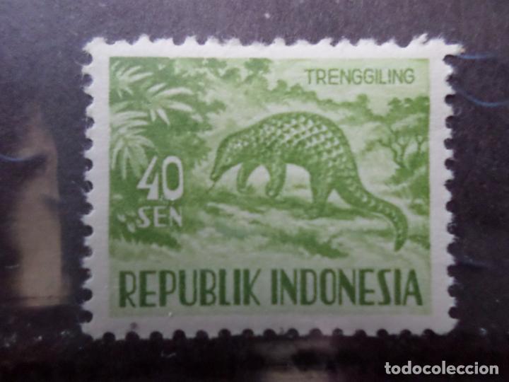 Timbres: -indonesia, 1956, fauna, pangolin, Yvert 123A
