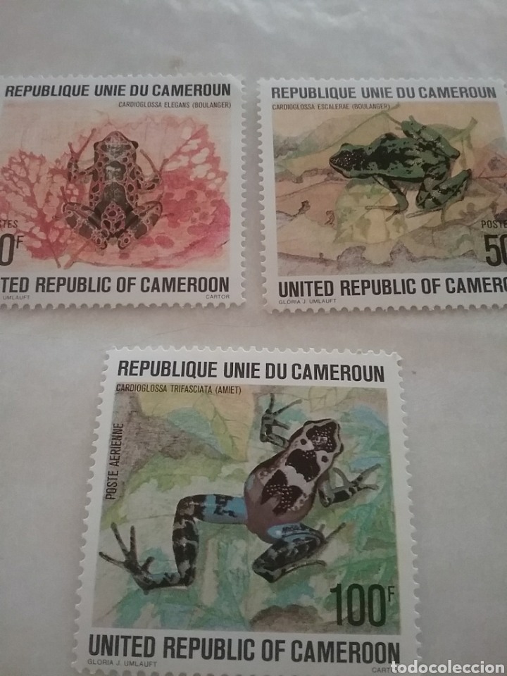 Timbres: Sello Camer&uacute;n nuevos/1973/ranas/sapos/animales/salvajes/fauna/anfibia/naruraleza/cardioglosa/