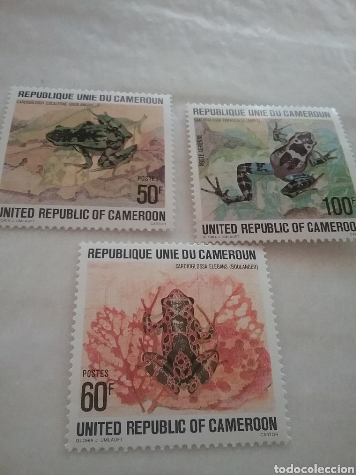 Timbres: Sello Camer&uacute;n nuevos/1973/ranas/sapos/animales/salvajes/fauna/anfibia/naruraleza/cardioglosa/