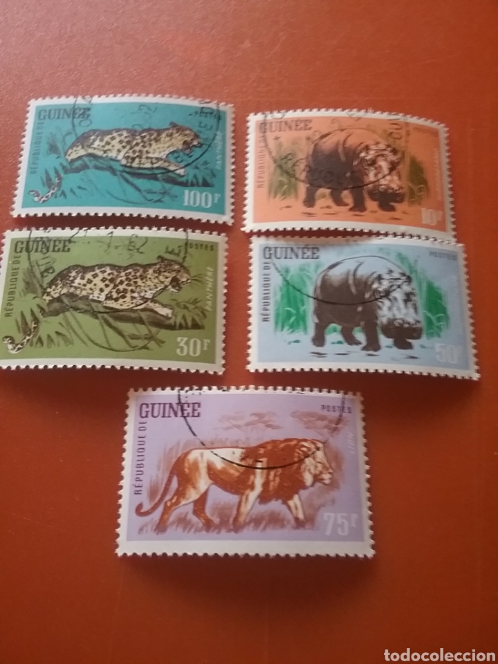 Selos: Sello R. Guinea mtdos(5 de 6v)/1962/fauna/animales/salvajes/pantera/leon/parda/hipop&oacute;tamo/mamiferos