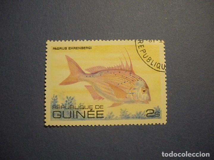 Timbres: GUINEE - PECES - PARGO O BESUGO.
