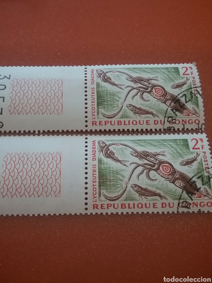 Selos: Sello R. Congo (S1/2v) (Brazzaville) mtdos/1961/Animales/fondo/marino/calamar/luciernaga/pulpo/fauna