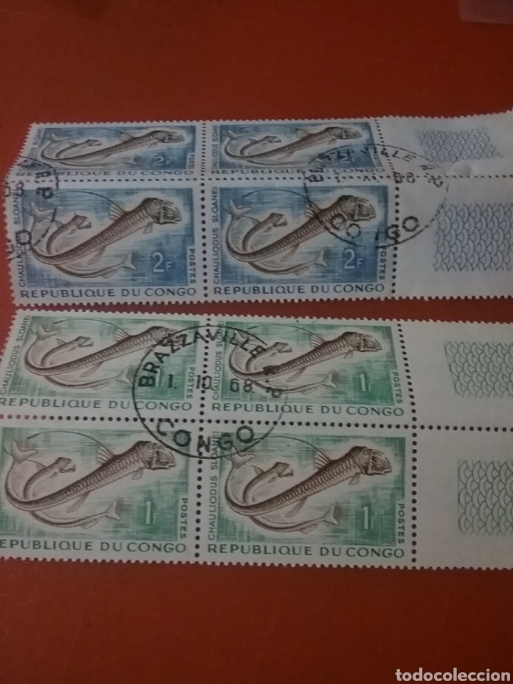 Selos: Sello R Congo (S2/6v) (Brazzaville) mtdo/1961/peces/vibora/Sloane/vida/fauna/marina/animales/
