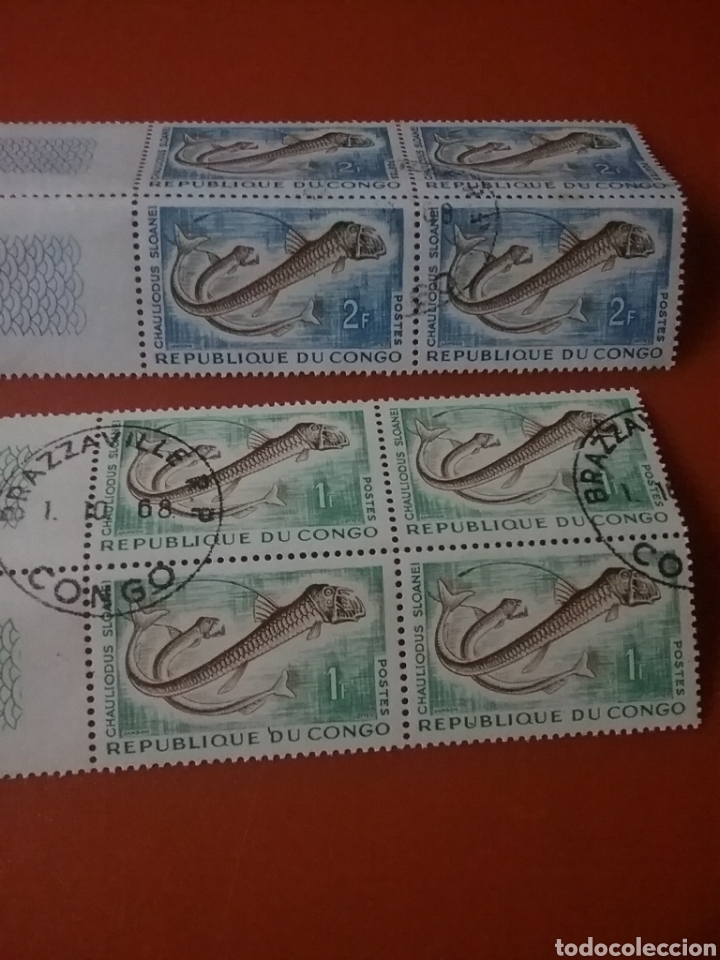 Selos: Sello R Congo (S2/6v) (Brazzaville) mtdo/1961/peces/vibora/Sloane/vida/fauna/marina/animales/