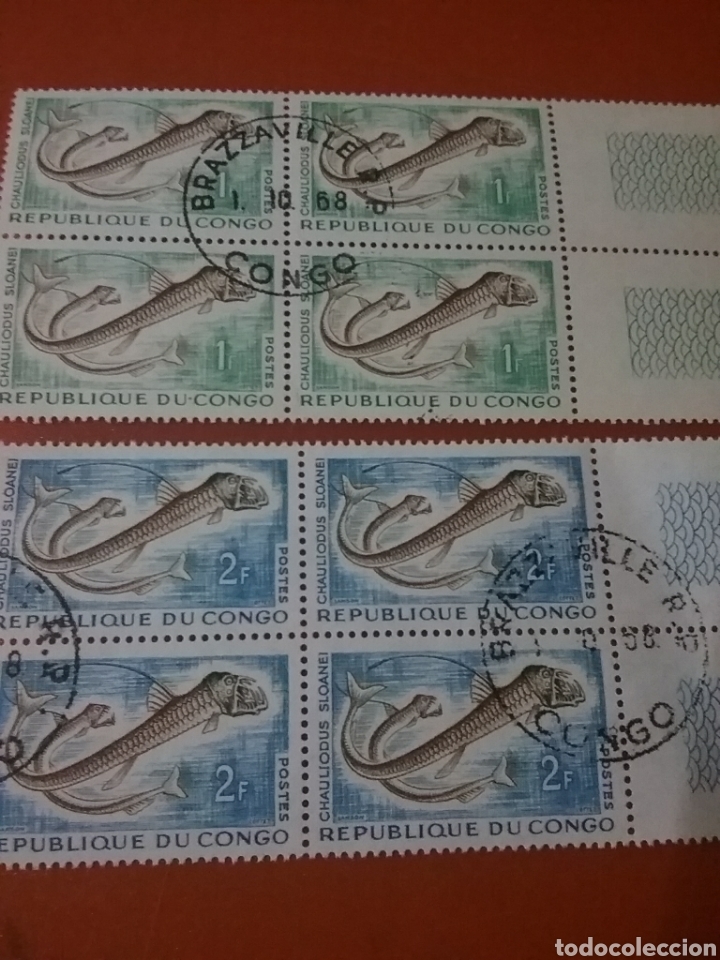 Selos: Sello R Congo (S2/6v) (Brazzaville) mtdo/1961/peces/vibora/Sloane/vida/fauna/marina/animales/