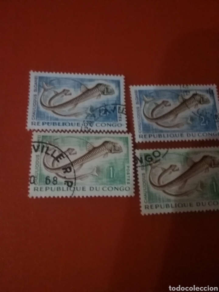 Selos: Sello R Congo (S2/6v) (Brazzaville) mtdo/1961/peces/vibora/Sloane/vida/fauna/marina/animales/