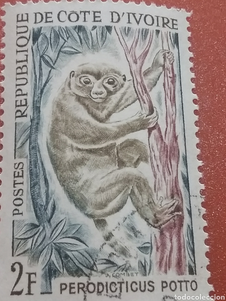Selos: Sello Costa Marfil (S1/5v) (Cote D'ivoire) mtdos/1964/poto/potto/simio/mono/primate/animales/fauna/m