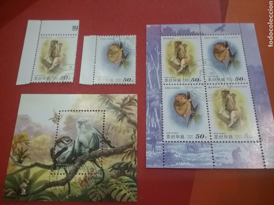 Selos: Sello+ HB Corea Norte mtda(DPKR)/2000/monos/cercopiteco/rojo/tarsio/lemures/chimpance/fauna/natiraln