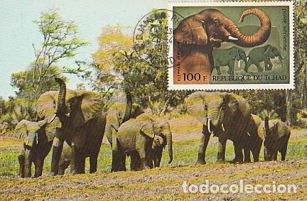 Selos: Chad & Maxi, Elefante. Elephantidae, Djamena 1981 (9779)