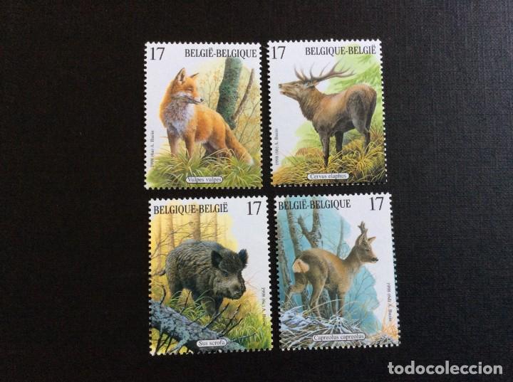 Selos: BELGICA N&ordm; YVERT 2748/1*** A&Ntilde;O 1998. FAUNA. MAMIFEROS