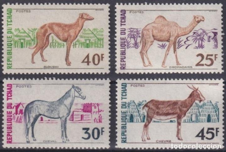 Selos: F-EX33275 CHAD TCHAD MNH 1972 DOG CAMEL HORSE CABALLO PERROS DROMEDARIO.