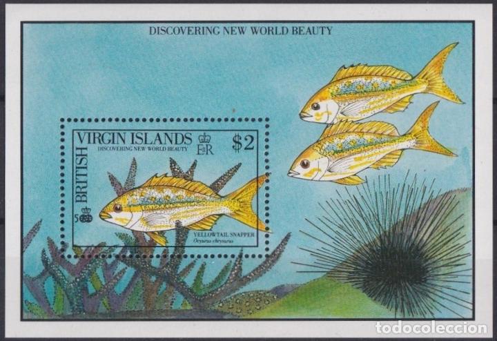 Selos: F-EX34373 BRITISH VIRGIN IS MNH 1990 DISCOVERY MARINE REEF WILDLIFE FISH PECES.