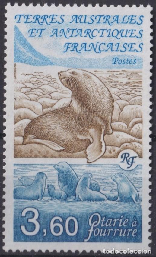 Selos: F-EX34343 TAAF ANTARCTIC POLAR MNH 1991 MARINE WILDLIFE FISH PECES SEALION LEON MARINO.