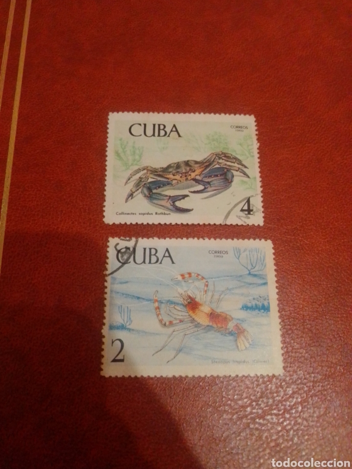 Sellos: Cuba peces - Foto 1