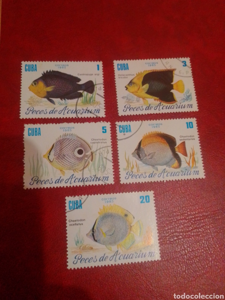 Sellos: Cuba peces - Foto 1