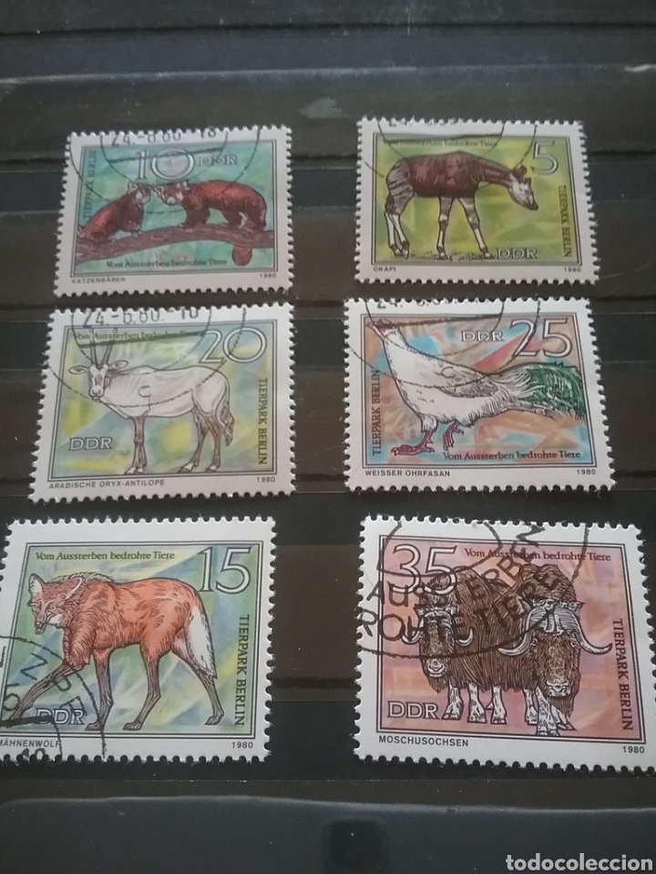 Sellos: Sello Alemania(DDR) mtdo(+/-bisagra).1980. Fauna, especies protegidas. Panda rojo, okap, lobo, buey,
