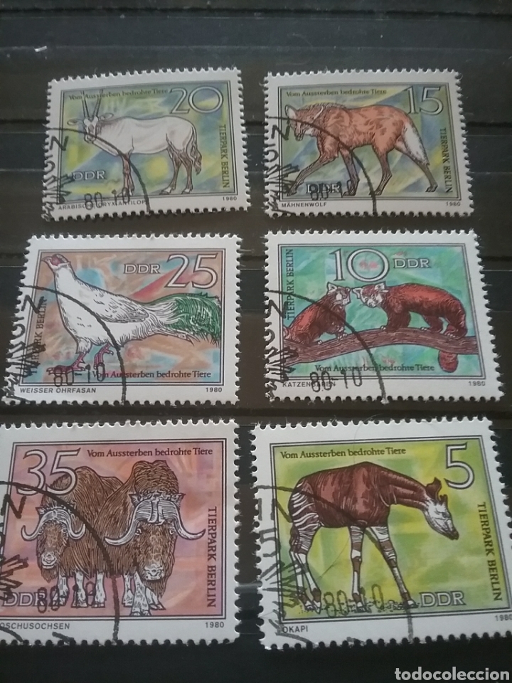 Sellos: Sello Alemania(DDR) mtdo(+/-bisagra).1980. Fauna, especies protegidas. Panda rojo, okap, lobo, buey,