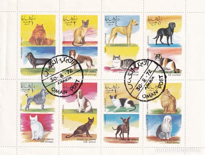 Sellos: HB Om&aacute;n 1972 - Animales dom&eacute;sticos / Perros y gatos / Dachshund Red self - Collie Siamese - Tabby ..