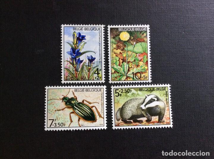 Sellos: BELGICA N&ordm; YVERT 1734/7*** A&Ntilde;O 1974. FAUNA Y FLORA