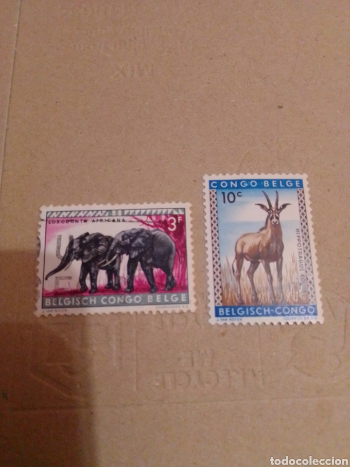 Sellos: Congo Belga fauna - Foto 1
