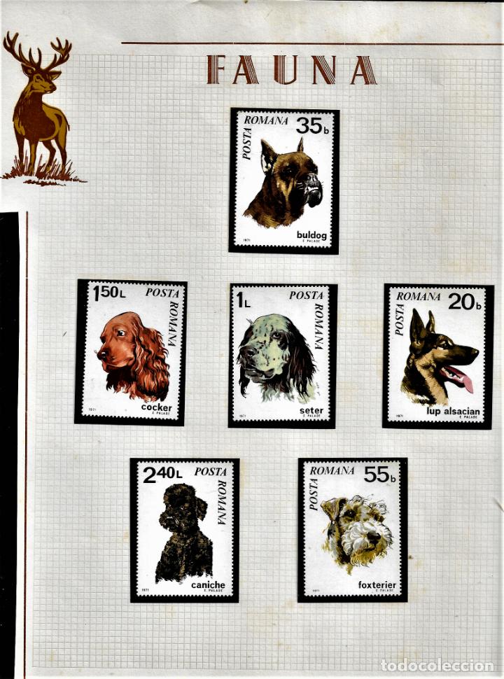 Sellos: HOJA SELLOS - TEMA FAUNA - POSTA ROMANA- 1971