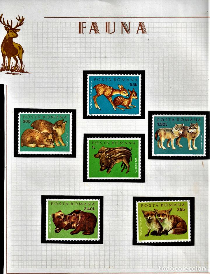 Sellos: HOJA SELLOS - TEMA FAUNA - POSTA ROMANA - 1972