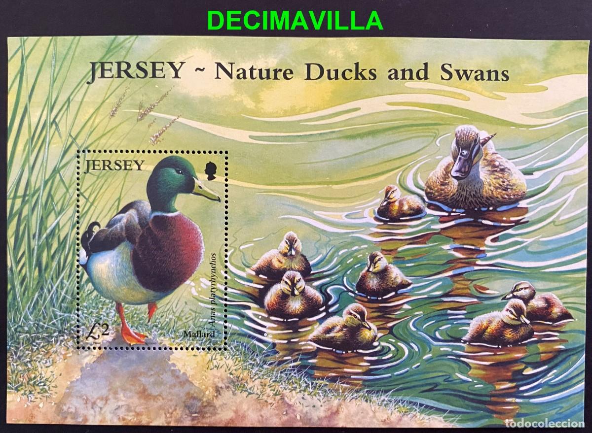 Sellos: FAAV338, JERSEY, AVES, 2004, H.B. 53 - Foto 1