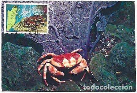 Timbres: Belice & Maxima, Cangrejo de Coral, Carpilius corallinus Belize 1983 (8080)