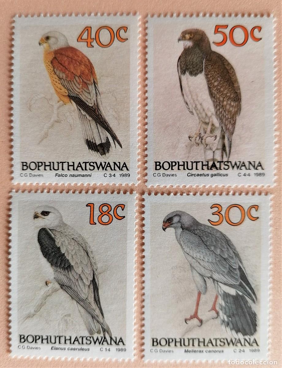 Sellos: BOPHUTHATSWANA 1989 - AVES - Foto 1