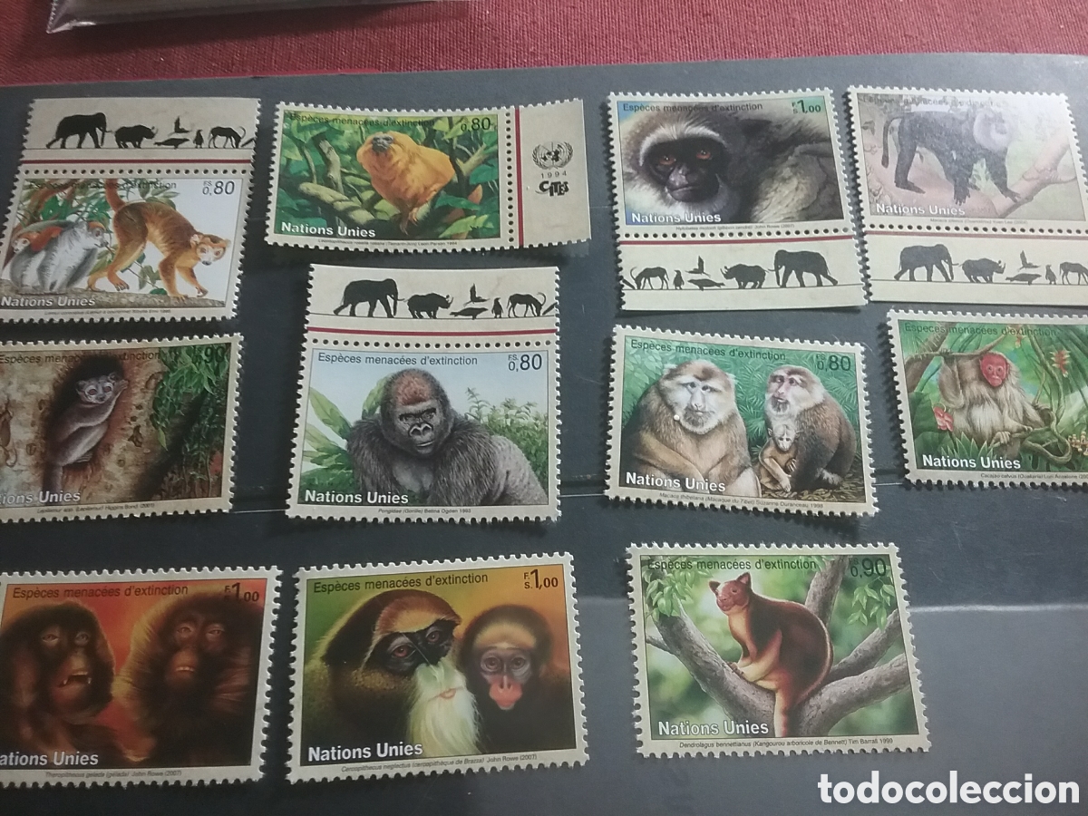 Sellos: Sello Ginebra (N. Unidas) nuevo.1993-2011. Especies peligro extincion. Primate. Monos. Chimpance. Mo