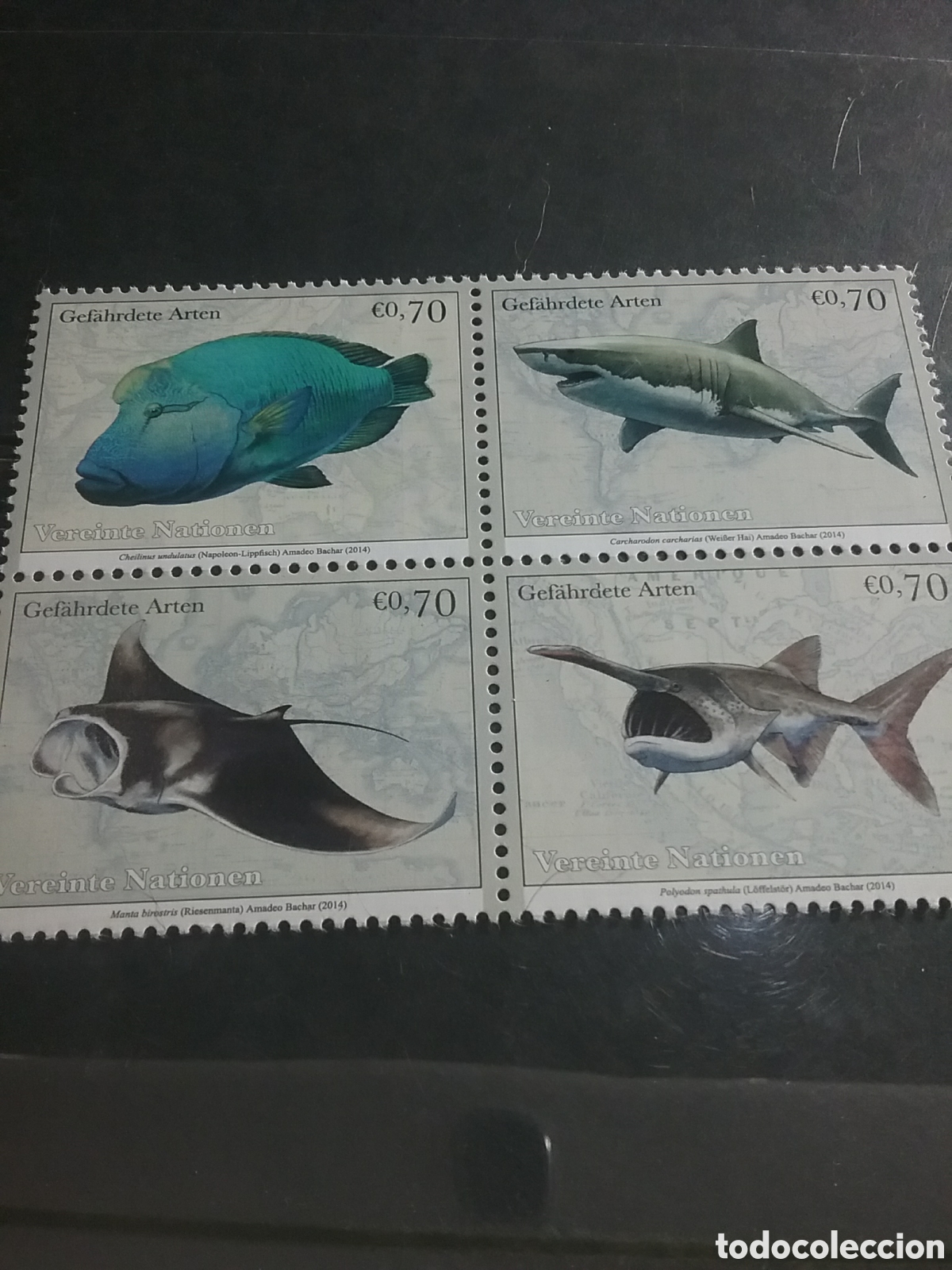Sellos: Sello Viena (N. Unidas) nuevo.w014. Peces, pescado peligro extincion. Tibur&oacute;n blanco. Manta. Espatul